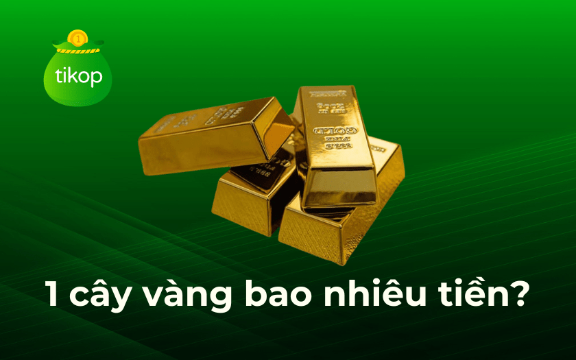 Tikop - 1 cây vàng bao nhiêu tiền? Giá vàng 24K, 18K, 14K, SJC, PNJ hôm nay