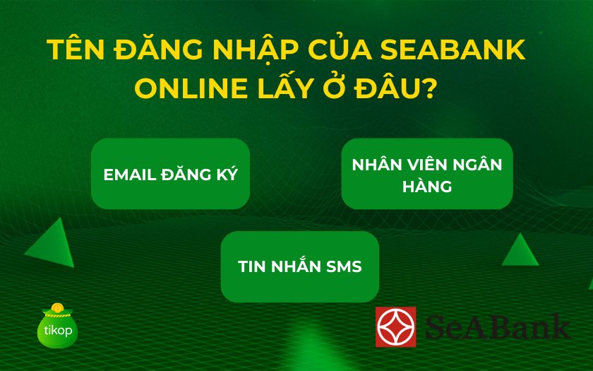 Cách kiểm tra tên đăng nhập SeABank