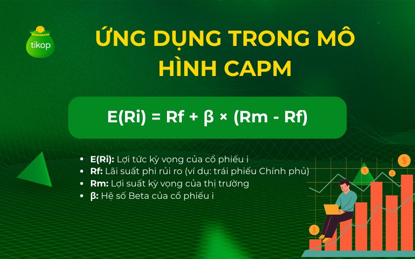 Ứng dụng Beta trong mô hình CAPM