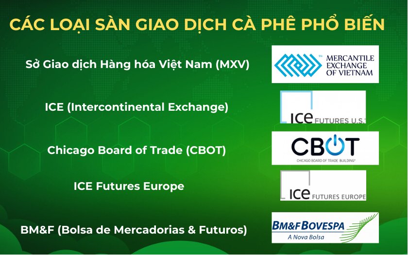 Các loại sàn giao dịch cà phê phổ biến