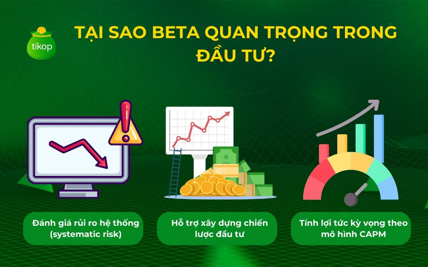 Tại sao Beta quan trọng trong đầu tư