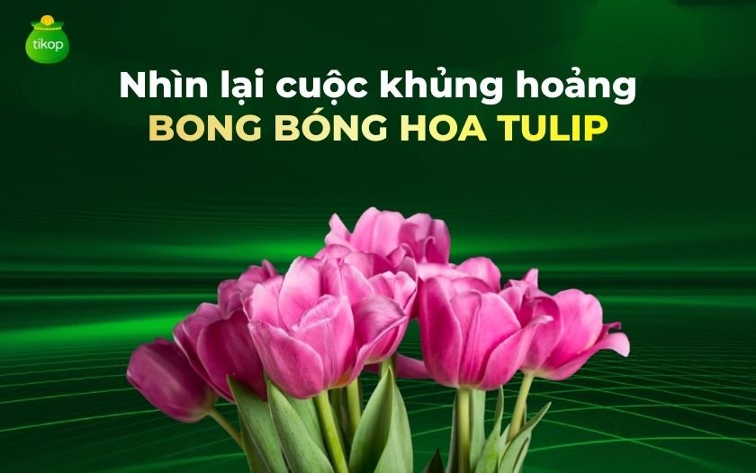 Bong bóng hoa tulip: Câu chuyện đầu cơ nguy hiểm và bài học cho nhà đầu tư hiện đại Tikop - Bong bóng hoa tulip là gì?