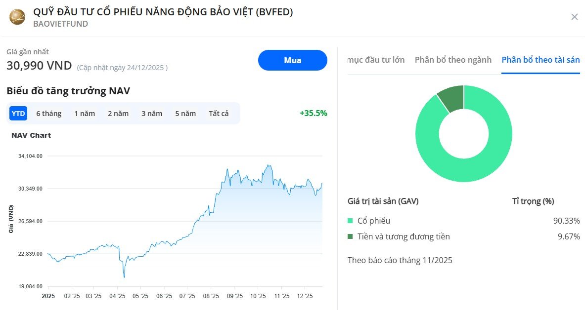 Hiệu suất quỹ BVFED