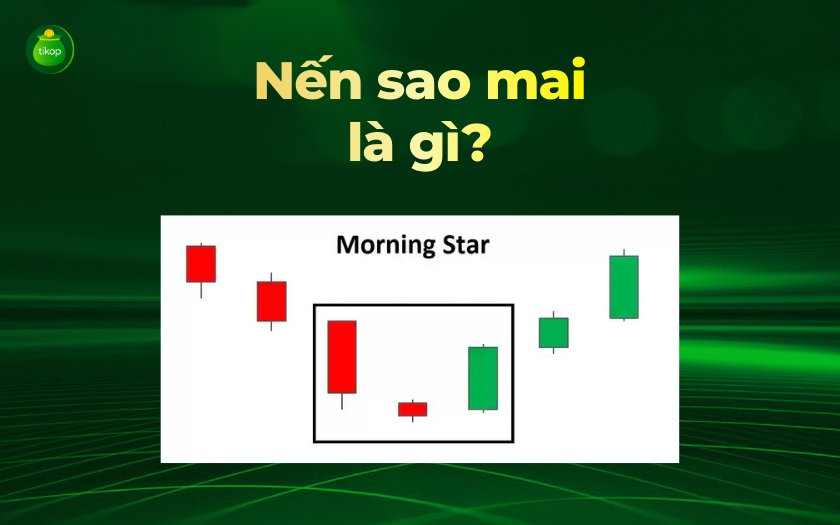 Tikop - Nến sao mai là gì?