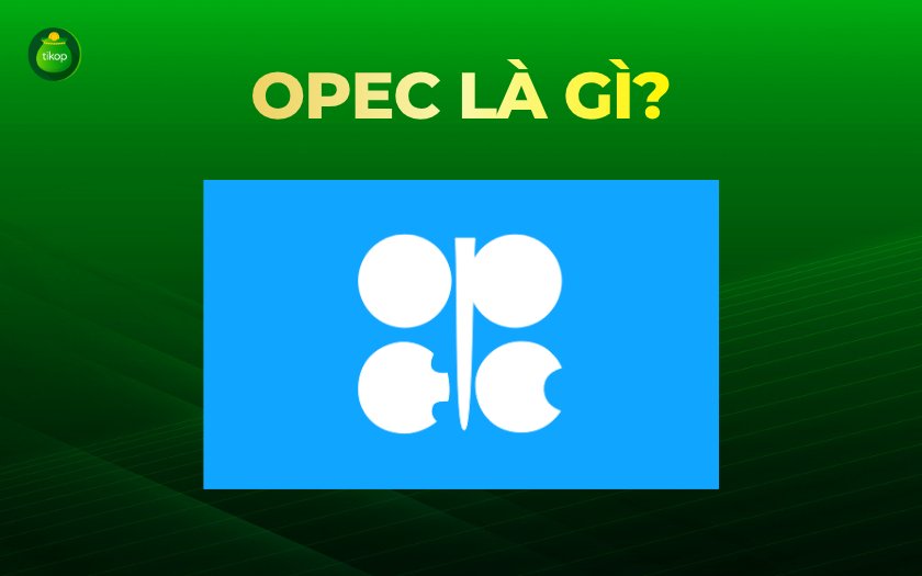 OPEC là gì? Tổ chức này có vai trò như thế nào?