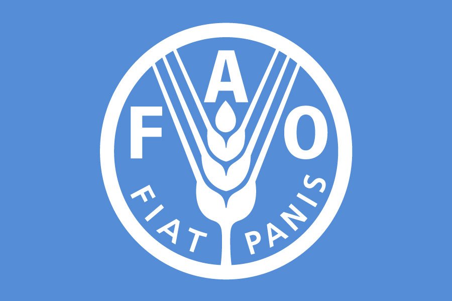 Lịch sử hình thành của FAO