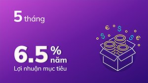 Tikop - gói tích lũy 5 tháng lợi nhuận 6.0%